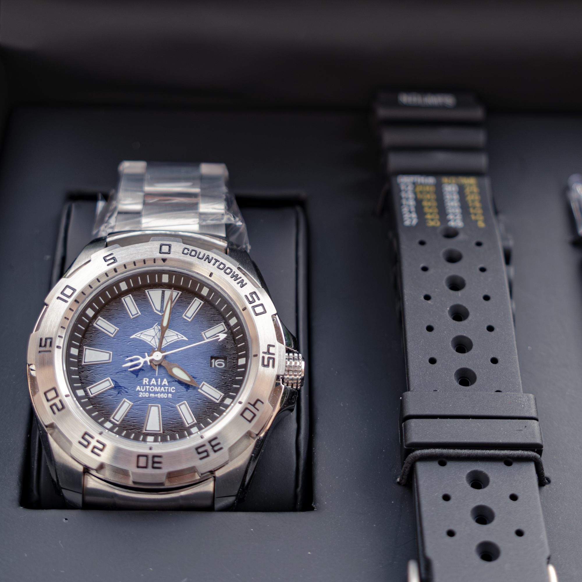 RAIA Manta Special Edition
